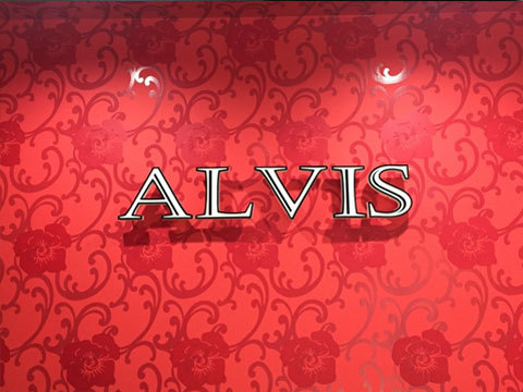 ALVIS三ッ寺店様（大阪府大阪市）